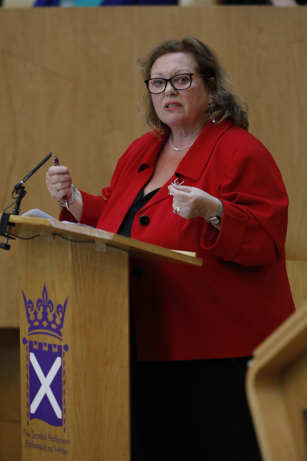 Agnes Tolmie, Scottish Womens Convention Chair speaking in the chamber of the Scottish Parliament during the plenary session to mark International Women's Day 2020 07 March 2020. Pic - Andrew Cowan/Scottish Parliament