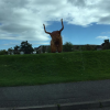  <br/><a href="gallery/stornoway-roadshow/253/add/#comments">Add comment</a>