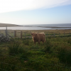  <br/><a href="gallery/stornoway-roadshow/287/add/#comments">Add comment</a>