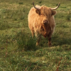  <br/><a href="gallery/stornoway-roadshow/281/add/#comments">Add comment</a>