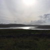  <br/><a href="gallery/stornoway-roadshow/290/add/#comments">Add comment</a>