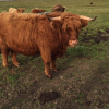  <br/><a href="gallery/stornoway-roadshow/282/add/#comments">Add comment</a>