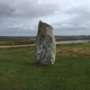  <br/><a href="gallery/stornoway-roadshow/300/add/#comments">Add comment</a>